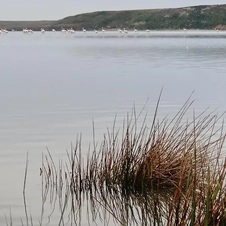 Hotel Surf Egitim Merkezi