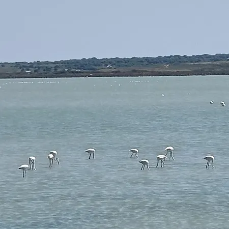 Hotel Surf Egitim Merkezi İmroz