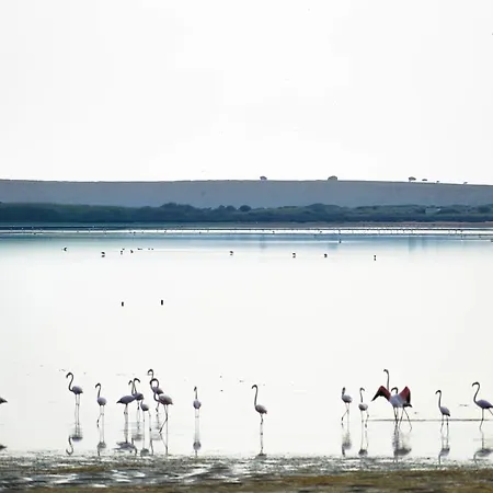 Hotel Surf Egitim Merkezi İmroz